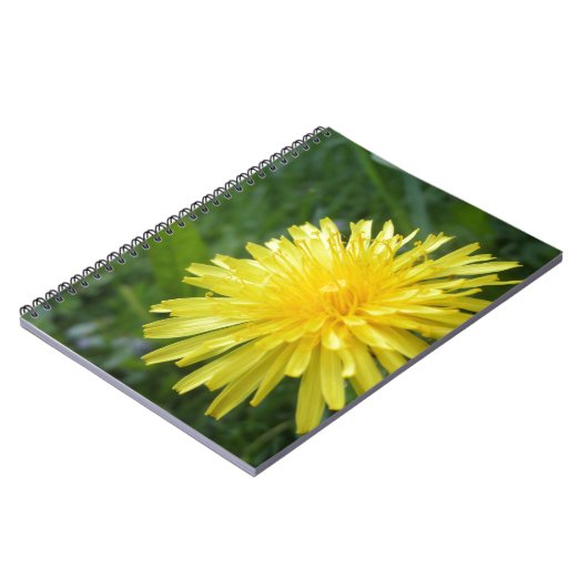 Carnet Bijou d'été (Côté gauche)