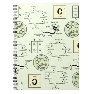 Carnet Biologie Science Enseignant Cellule Génétique Neur
