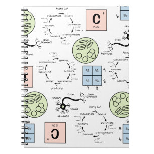 Carnet Biologie Science Enseignant Motif Génétique Geek