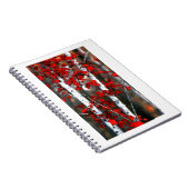 Carnet Birch#2-Notebook (Côté Droit)