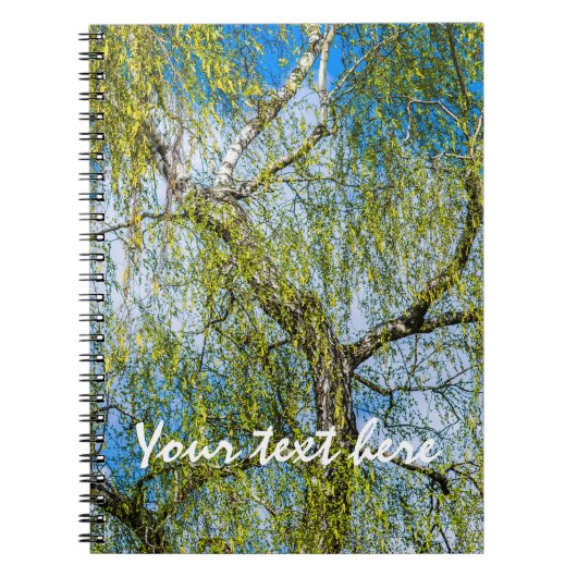 Carnet Birch tree - Le printemps est dans l'air (Devant)