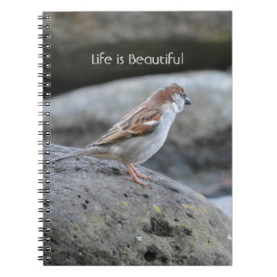 Carnet Bird Rock Kauai (ma photographie)