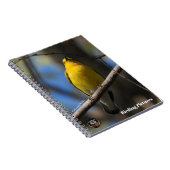 Carnet Birding.Carnet Photos (Côté Droit)