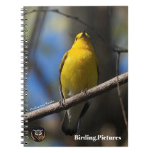 Birding.Carnet Photos