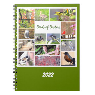 Carnet Birds of Boston Photo