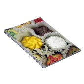 Carnet Biscuits délicieux (Côté Droit)