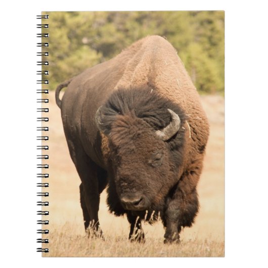 Carnet Bison (Devant)