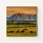 Carnet Bison au lever du soleil (Dos)