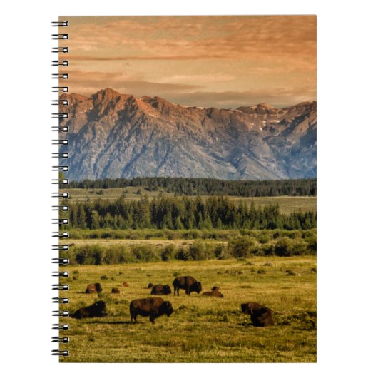 Carnet Bison au lever du soleil (Devant)