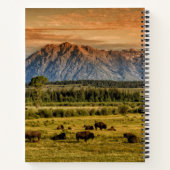 Carnet Bison au lever du soleil (Dos)