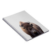 Carnet Bison Buffalo Photo 135 (Côté Droit)