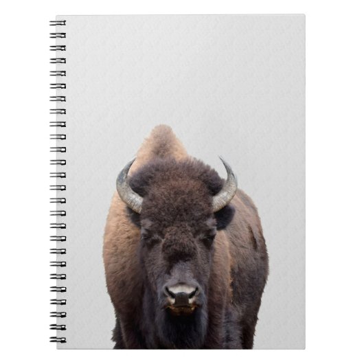 Carnet Bison Buffalo Photo 135 (Devant)