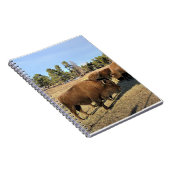 Carnet Bison dans le Colorado (Côté Droit)