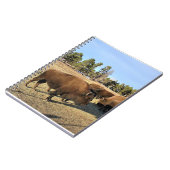 Carnet Bison dans le Colorado (Côté gauche)
