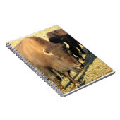 Carnet Bison dans le Colorado (Côté Droit)