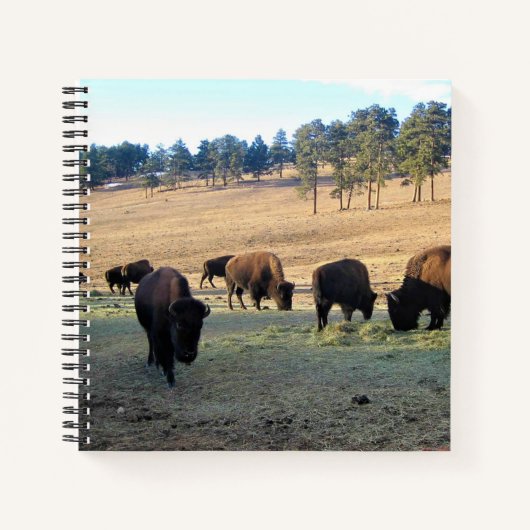 Carnet Bison dans le Colorado (Devant)