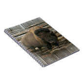 Carnet Bison de bois (Côté Droit)