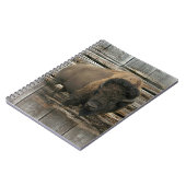 Carnet Bison de bois (Côté gauche)