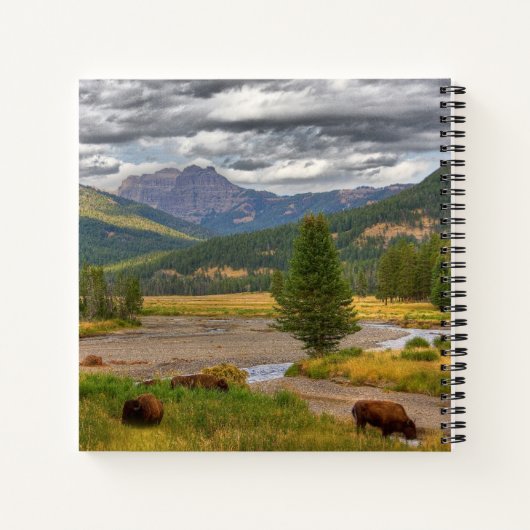 Carnet Bison de Yellowstone (Dos)
