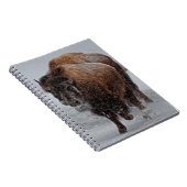 Carnet Bison de Yellowstone (Côté Droit)