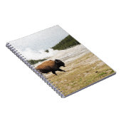 Carnet Bison et Vieux fidèles (Côté Droit)