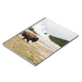 Carnet Bison et Vieux fidèles (Côté gauche)