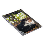Carnet Black and White cat in a bush (Côté Droit)