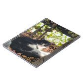 Carnet Black and White cat in a bush (Côté gauche)