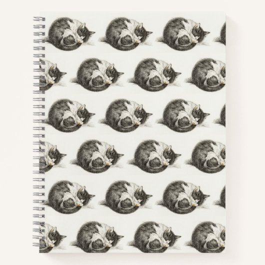 Carnet Black and white pencil drawing of a sleepcat (Devant)
