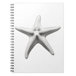 Carnet Black and White Starfish
