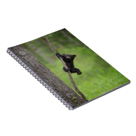Carnet Black Bear Cub jouant sur le membre de l'arbre (Côté Droit)