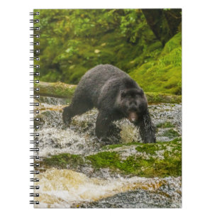 Carnet Black Bear Fishing Qua Creek Colombie-Britanniqu