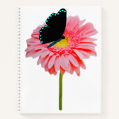 Carnet Black Butterfly Spiral Notebook (Devant)