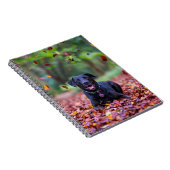 Carnet Black Labrador Dans Les Feuilles Automnes (Côté Droit)