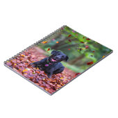 Carnet Black Labrador Dans Les Feuilles Automnes (Côté gauche)