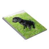 Carnet Black Labrador Retriever sur l'herbe (Côté Droit)