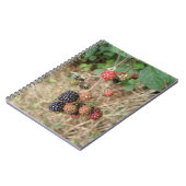 Carnet Blackberry Bonanza (Côté gauche)