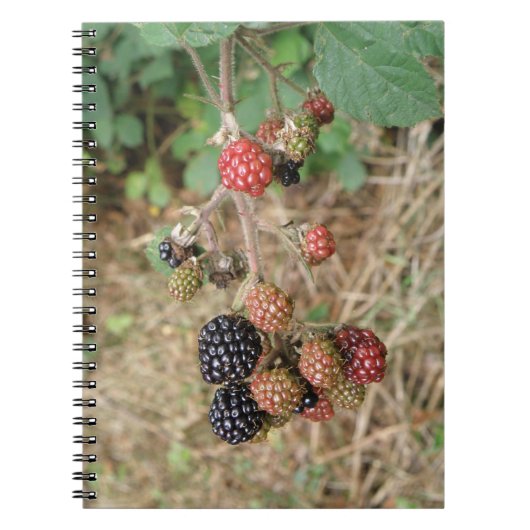 Carnet Blackberry Bonanza (Devant)
