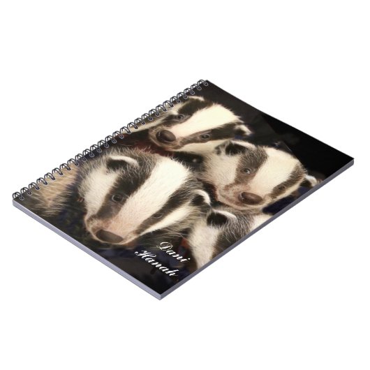 Carnet Blaireau mignon CUB (Côté gauche)