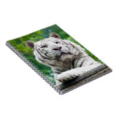 Carnet blanc de tigre (Côté Droit)