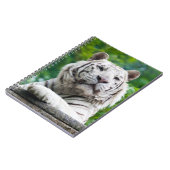 Carnet blanc de tigre (Côté gauche)