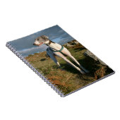 Carnet Blanc et bleu (Côté Droit)