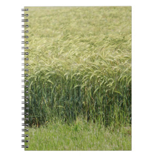 Carnet Blé - Savoureux !