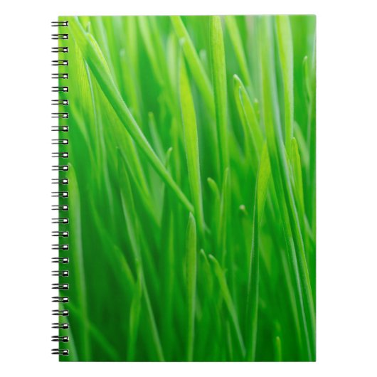 Carnet Blé vert vibrant frais (Devant)