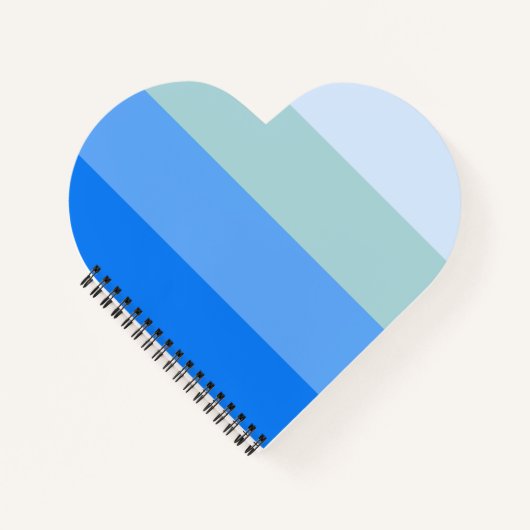 Carnet Bleu (Devant)