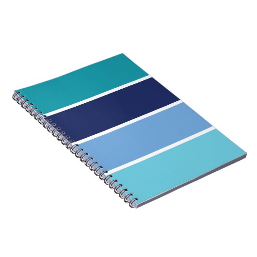 Carnet Bleu (Côté Droit)