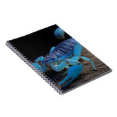 Carnet bleu brillant Scorpion (Côté Droit)