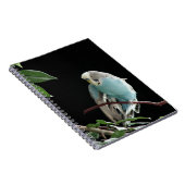 Carnet bleu de perruche, papeterie de perruche (Côté Droit)