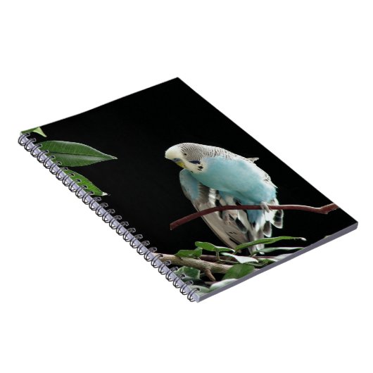 Carnet bleu de perruche, papeterie de perruche (Côté Droit)