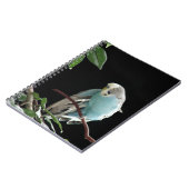 Carnet bleu de perruche, papeterie de perruche (Côté gauche)